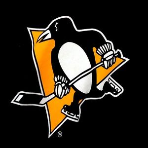 Pittsburgh Penguins Hockey Long Sleeve Jersey Shirt